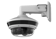 Panoramic Cameras